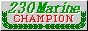 230 MARINE DIVISION CHAMPION