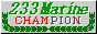 233 MARINE DIVISION CHAMPION