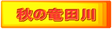 �H�̗��c�� 