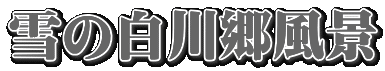 ��̔��싽���i