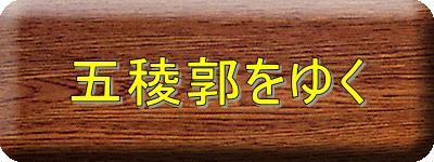 �ܗŊs���䂭