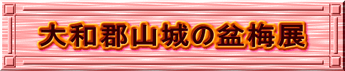 ��a�S�R��̖~�~�W 