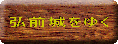 �O�O����䂭