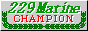 229 MARINE DIVISION CHAMPION