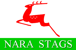 NARA STAGS Flag
