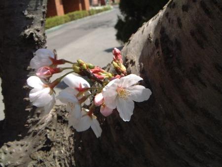 x2.jpg ���玟��