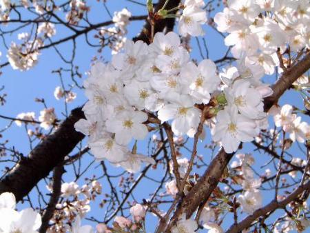 x3.jpg ���玟��