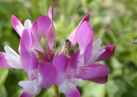 x4.jpg ���玟��