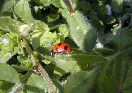 x5.jpg ���玟��