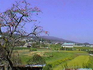 �H�i���łցj