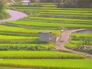 �I�c�i���łցj