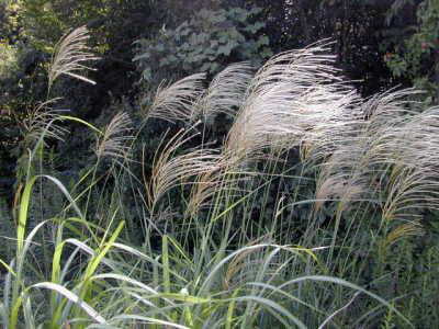 �������i���łցj