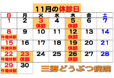 2026.11休診日.png