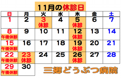 2026.11休診日.png