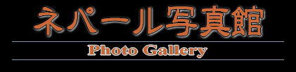 写真館LOGO