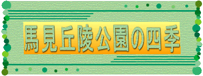 馬見丘陵公園の四季 