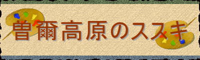 曽爾高原のススキ 